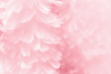BBPP94