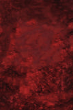 Velvet Red Portrait