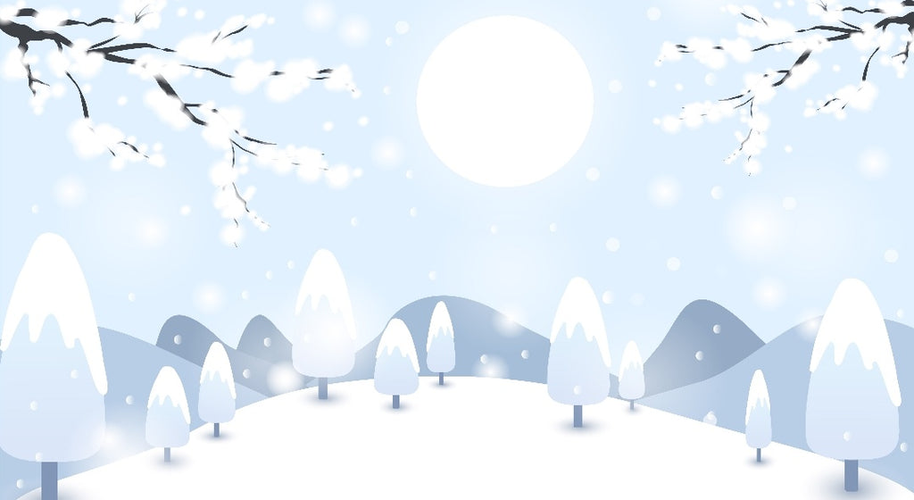 Christmas #20