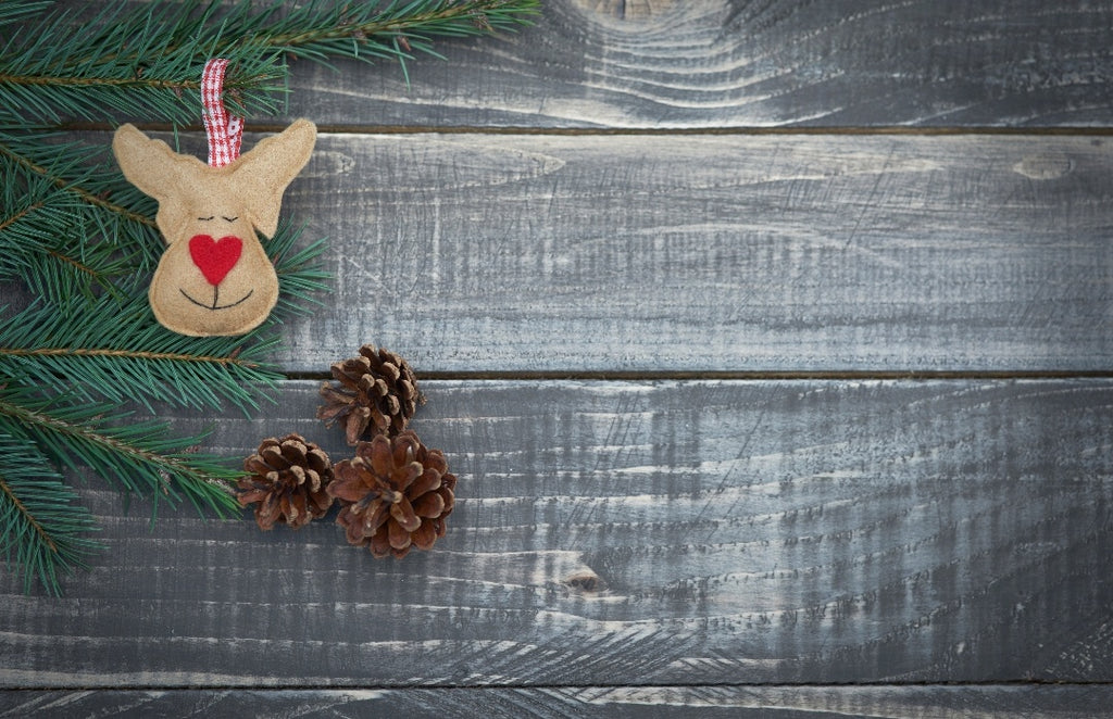 Christmas #27
