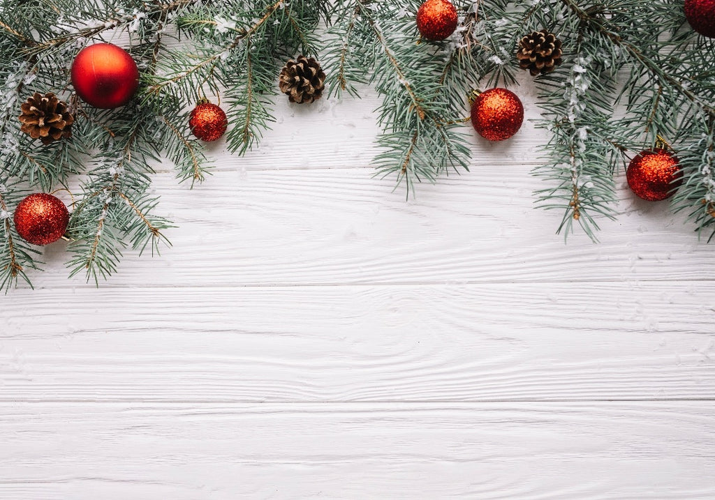 Christmas #28
