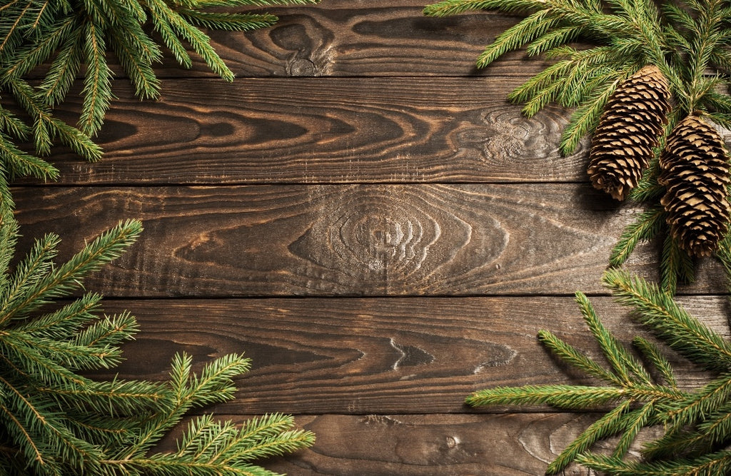 Christmas #29
