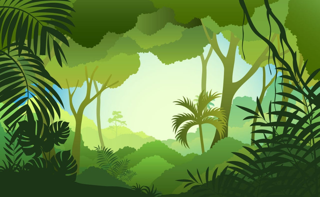 Tropical Forest